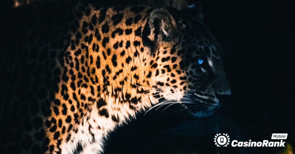 Yggdrasil Partners ReelPlay släpper Jaguar SuperWays från Bad Dingo
